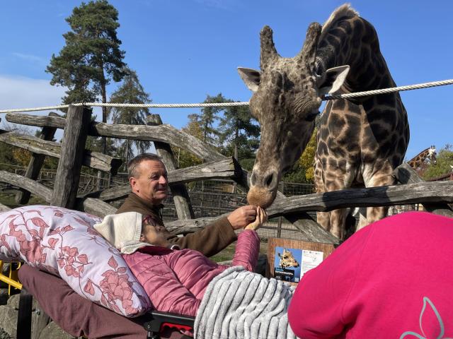 ležící pacientka si hladí žirafu